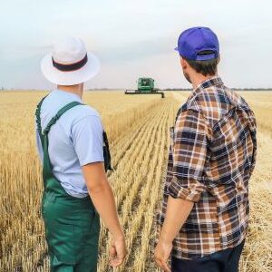 Farmers in field.